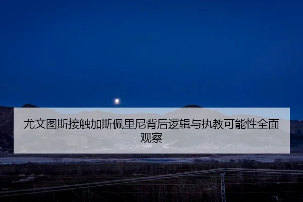 尤文图斯接触加斯佩里尼背后逻辑与执教可能性全面观察 | leyu